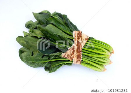 Fresh spinach on white background Fresh spinach on white background 101931281
