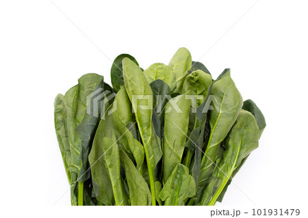 Fresh spinach on white background Fresh spinach on white background 101931479