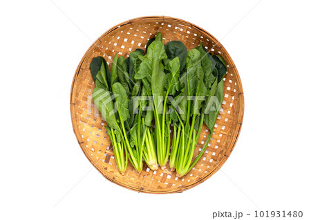 Fresh spinach in bamboo weave plate Fresh spinach in bamboo weave plate 101931480
