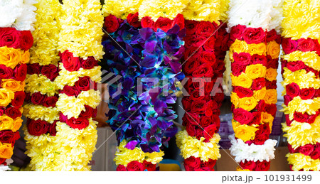 Fllower garland shop near Batu Caves Temple, Malaysia Fllower garland shop near Batu Caves Temple, Malaysia 101931499