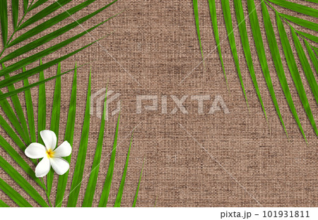 ナチュラル＆トロピカルな、麦わらと椰子とプルメリアの背景 101931811