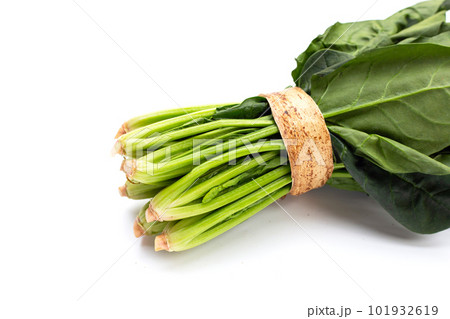 Fresh spinach on white background Fresh spinach on white background 101932619