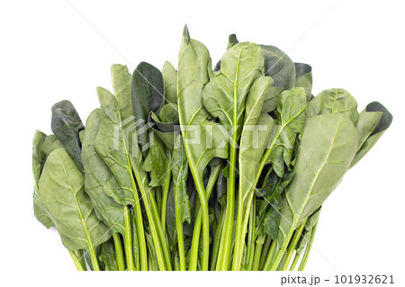 Fresh spinach on white background Fresh spinach on white background 101932621