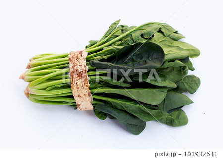 Fresh spinach on white background Fresh spinach on white background 101932631