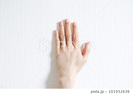 女性の手　手の甲 101932636
