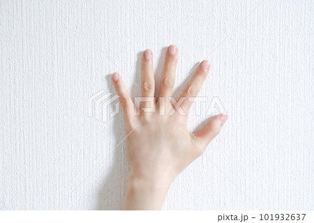 手の甲 女性の手 手の甲 女性の手 101932637