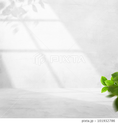 シンプルで爽やかな空間 シンプルで爽やかな空間 101932786