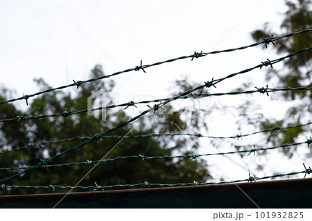 Barbed wires against sky. Wired fence 101932825