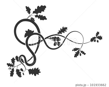 simple pattern weaving up plant tree oak. vector 101933662