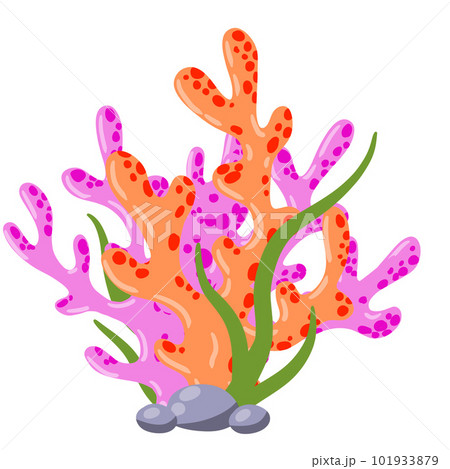 Branch Coral Vector Illustration.Drawing of Sea Polyp on White Background.  Stock Vector - Illustration of reef, aquarium: 121122536