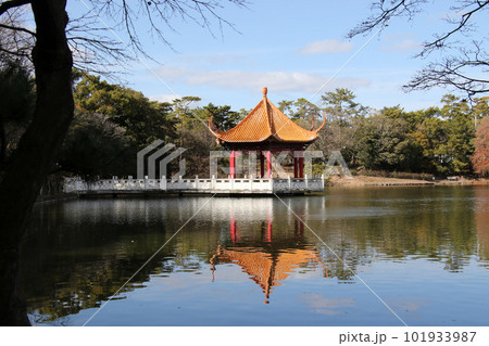 伊丹市緑ヶ丘公園 下池の賞月亭 伊丹市緑ヶ丘公園 下池の賞月亭 101933987