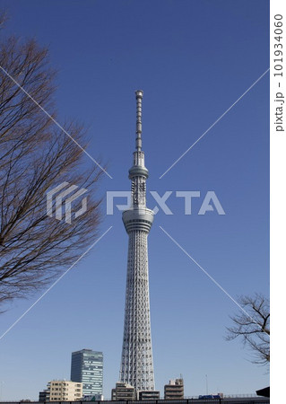 スカイツリー 101934060