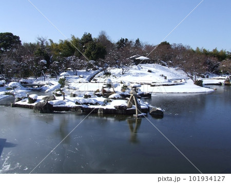 雪の花田苑　　　（埼玉県越谷市） 101934127