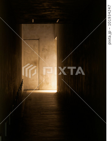 暗闇の中で光り輝く扉 101934247