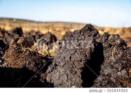 Peat Turf cutting in County Donegal - Ireland 101934303