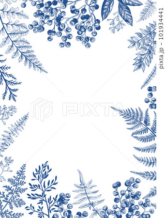 Vintage card with fern leaves and berries. Blue. Wedding invitation. Engraving style. Botanical illustration. Vintage card with fern leaves and berries. Blue. Wedding invitation. Engraving style. Botanical illustration. 101934441