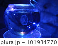 海月 101934770