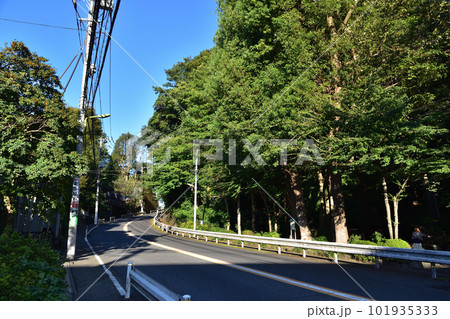 世田谷・上野毛自然公園横の稲荷坂 世田谷・上野毛自然公園横の稲荷坂 101935333