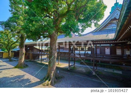 東京都葛飾区柴又7丁目の帝釈天(題経寺)の大回廊から庭園受付方面を見る 101935427