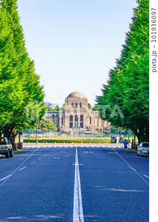 新緑の神宮外苑イチョウ並木から聖徳記念絵画館 101936097