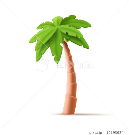 3d Vector Tropical palm cartoon illustration. Tropic jungle realistic plant isolated render on white. 101936244