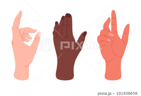 Human hands gestures. Palms with elegant gesture, male or female hands showing, presenting and pointing flat vector illustration set 101936656
