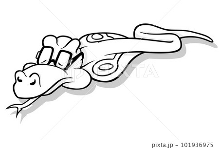 Drawing of a Sleeping Snake Drawing of a Sleeping Snake 101936975