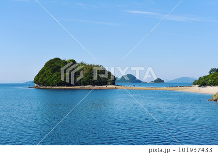 干潮の時にだけ歩いて渡れる真宮島 干潮の時にだけ歩いて渡れる真宮島 101937433