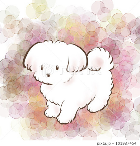 かわいいマルチーズのシンプルなイラスト かわいいマルチーズのシンプルなイラスト 101937454