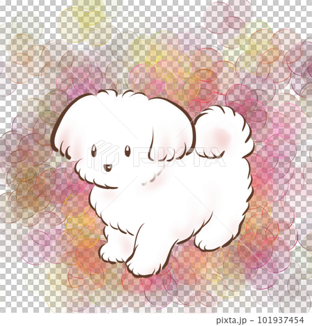 かわいいマルチーズのシンプルなイラスト かわいいマルチーズのシンプルなイラスト 101937454