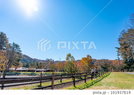 長野県木曽町 紅葉の開田高原の木曽馬の里で木曽馬の乗馬を楽しむ人 長野県木曽町 紅葉の開田高原の木曽馬の里で木曽馬の乗馬を楽しむ人 101937619