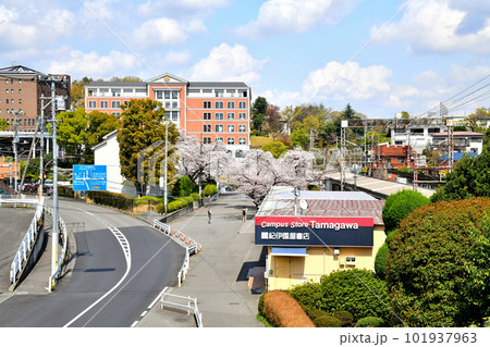 玉川学園前駅周辺／玉川大学方面を望む(東京都町田市)【2023.4】 101937963