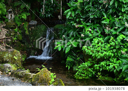 天の真名井より 天の真名井より 101938078