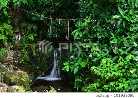 天の真名井より 101938080