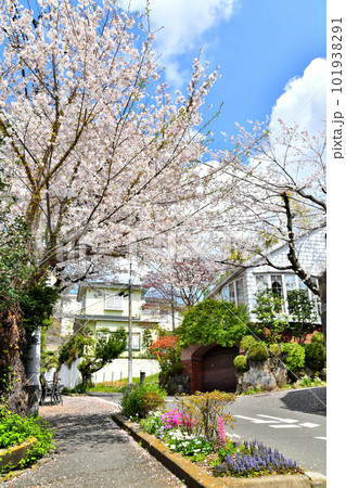 春の玉川学園の町並み(東京都町田市)【2023.4】 101938291