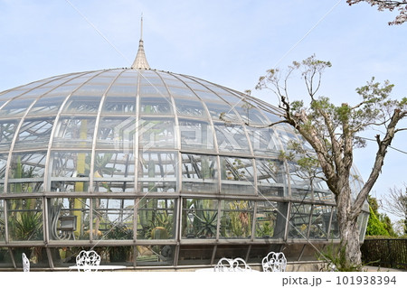 手柄山中央公園にある姫路市手柄山温室植物園 101938394