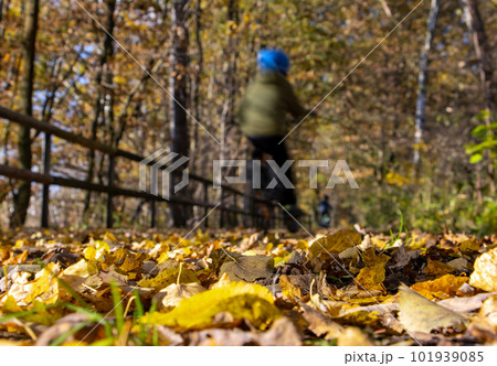 A kid rides a bike through the autumn landscape A kid rides a bike through the autumn landscape 101939085