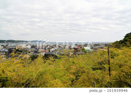長谷寺から由比ヶ浜方面 長谷寺から由比ヶ浜方面 101939946