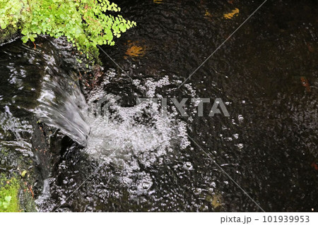 池に流れる滝の流れ 101939953