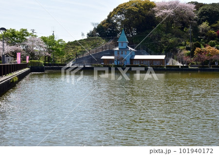 藤枝市 蓮華寺池公園の蓮華寺池ととんがりぼう(旧藤枝製茶貿易商館)と満開桜 藤枝市 蓮華寺池公園の蓮華寺池ととんがりぼう(旧藤枝製茶貿易商館)と満開桜 101940172