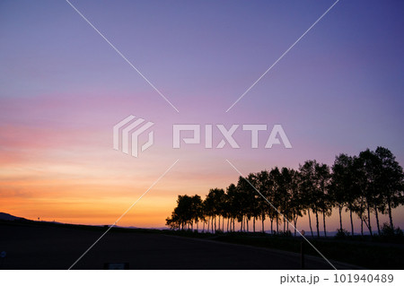 北海道美瑛町 白樺並木と夕焼け空のマジックアワー 北海道美瑛町 白樺並木と夕焼け空のマジックアワー 101940489