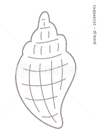 貝がらの手書き線画ベクターイラスト/単色 貝がらの手書き線画ベクターイラスト/単色 101940641