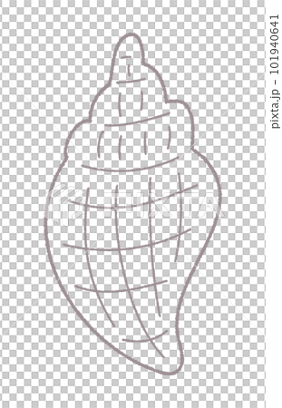 Sea shell hand drawn line drawing vector illustration / single color Sea shell hand drawn line drawing vector illustration / single color 101940641