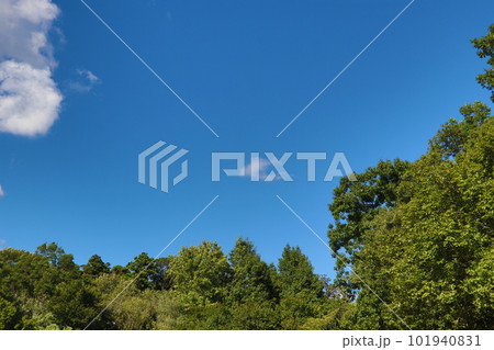 青空と白い雲 101940831