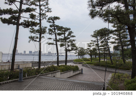 竹芝桟橋 周辺の風景 竹芝桟橋 周辺の風景 101940868