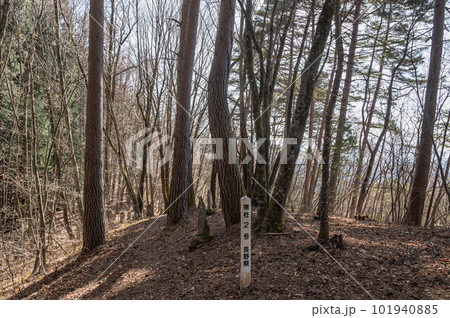 観ノ山 百体観音 観ノ山 百体観音 101940885