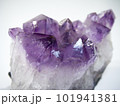 アメジスト　紫色の水晶　2月の誕生石　パワーストーン　Vol.1 101941381