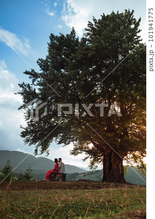 a couple sits on a bench by a big old beech tree with a view of the mountains 101941775
