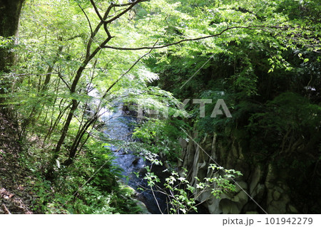 長田峡 101942279