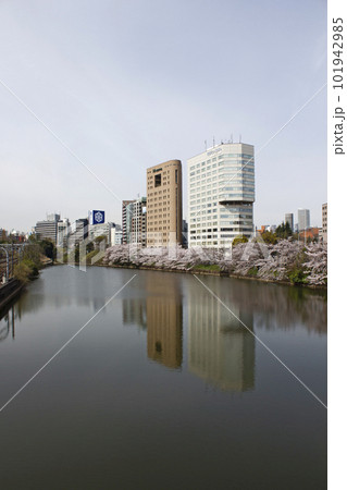 都会に咲く桜の風景イメージ 都会に咲く桜の風景イメージ 101942985